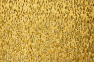 Ткань шелк жаккард нарядная silk арт.9800-012775