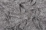 Ткань вискоза/лиоцелл/район твил плательно-блузочная jtc-5678 арт.9800-015660